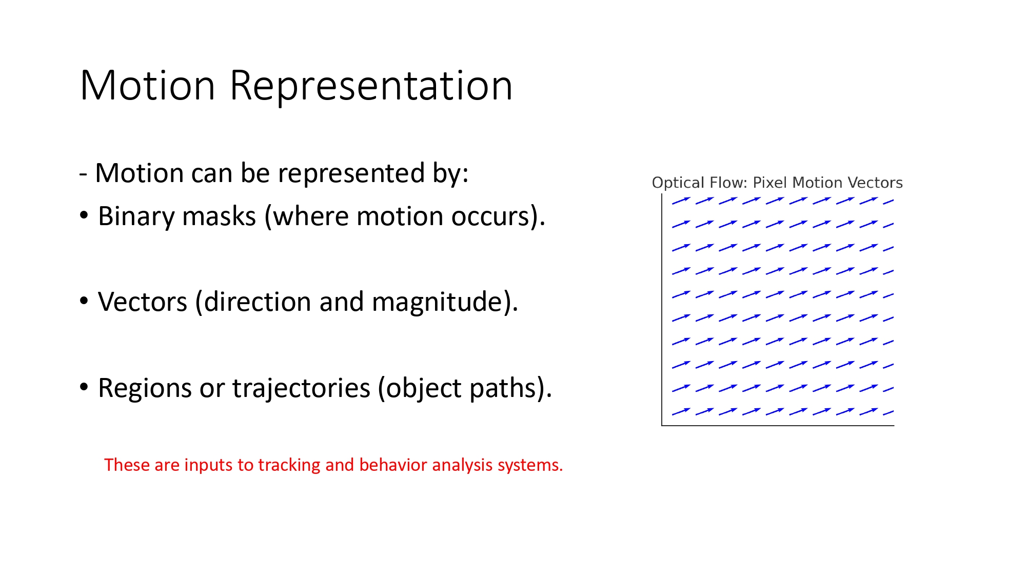 Motion Representation Types